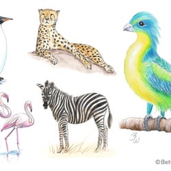 Workshop Drawing Animals