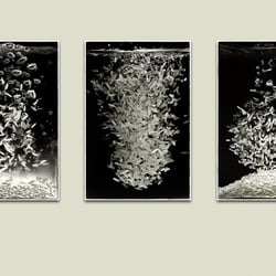 Triptichon finishprint
