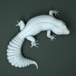 Leopardgecko