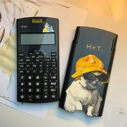 Taschenrechnerkatze