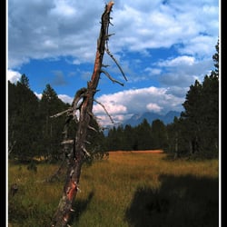 Maloja-Silzer See