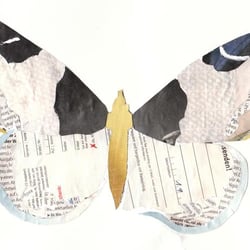 Typoholic Butterfly