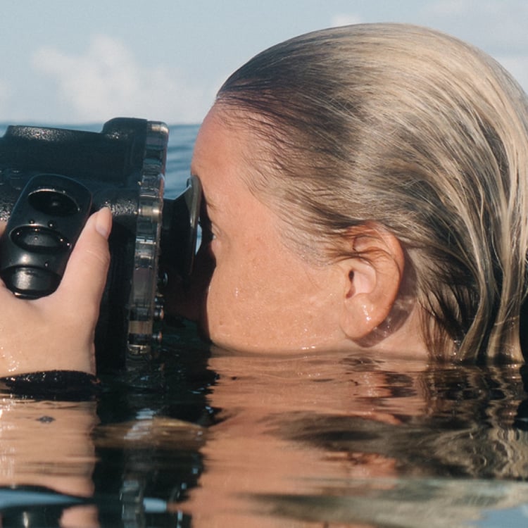 Lotta Pieper
