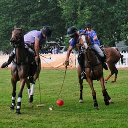 polo bs kl 16
