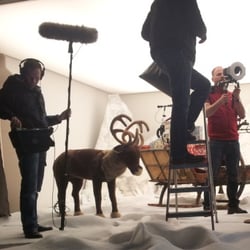 Adventsfolge 2013