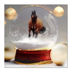 Fotomontage für Weihnachtskarte