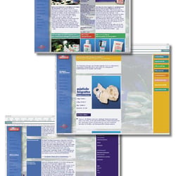 amtra Website 2001
