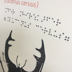 Es gibt auch preisgünstige Techniken für Tastgrafiken
