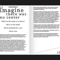 Imagine—Embracing Chaos and Possibility in a Planetary Emergency