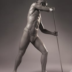 Anatomie Studie