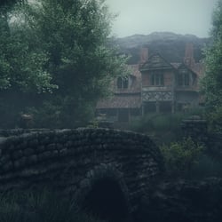 demo02_forest_cam02