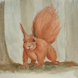Squirrel
