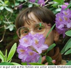 seiten006