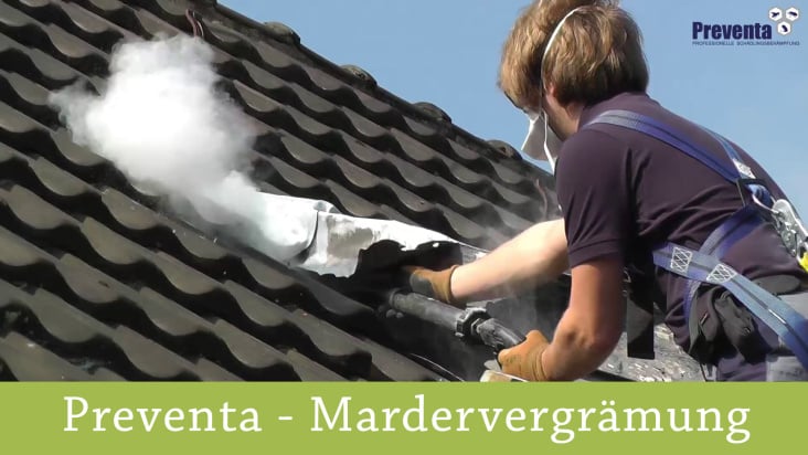 Videomarketing Mardervergrämung