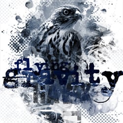 Flying Gravity