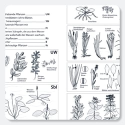 Illustration für Lehrmittel, Biologie, Raabe Verlags-GmbH
