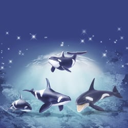 orca