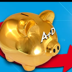 Steuern und Bares, lt. AfD