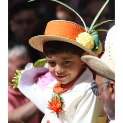 Festa do Flor