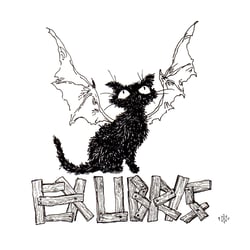Katze 2
