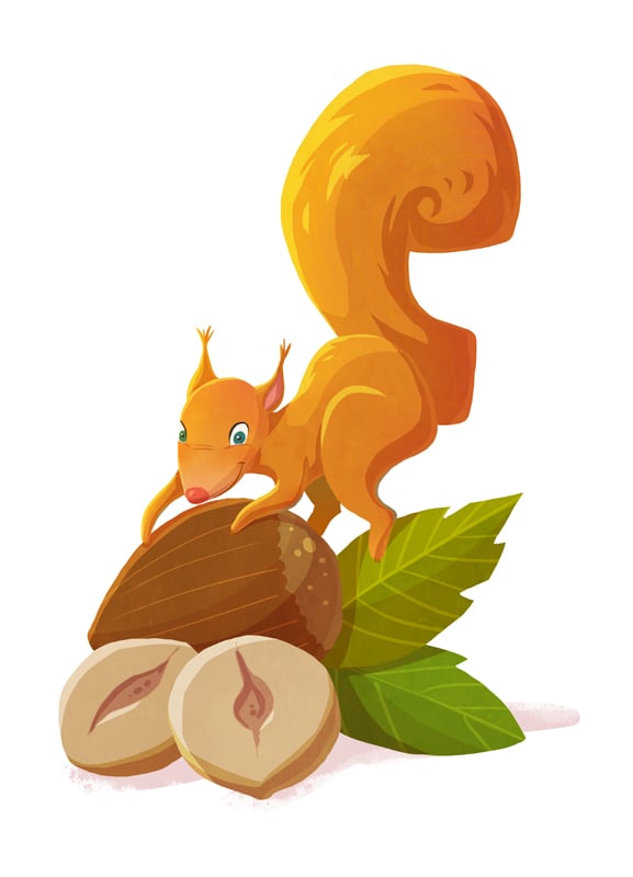 Eichhörnchen