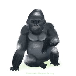 Character Design, Konzept
