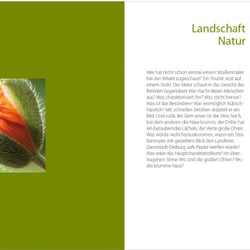 Kapitel Natur