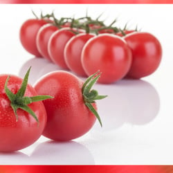 tomaten-studio-still-life-20