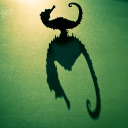 Experimental Photography