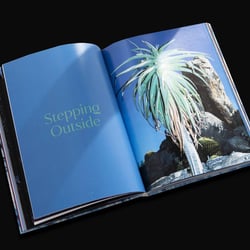 Studio Last – Hidden Hills