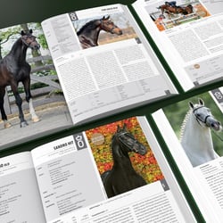 Hengstbuch | Forum Verlag / Engel&Wachs GbR