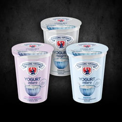 Vollmilchjoghurt 500 g – Becher und Platine