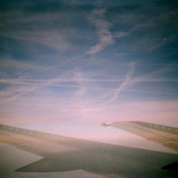 Flight to the summer