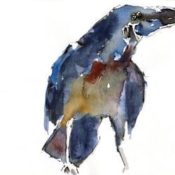 Raven