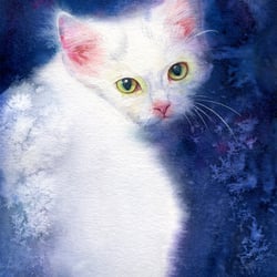 weiße Katze – Aquarell