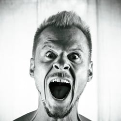 WUT – Ein Löwe