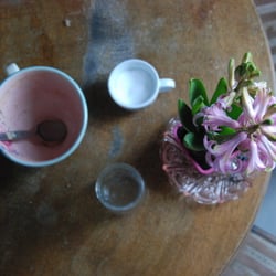 Breakfast and Hyacinths