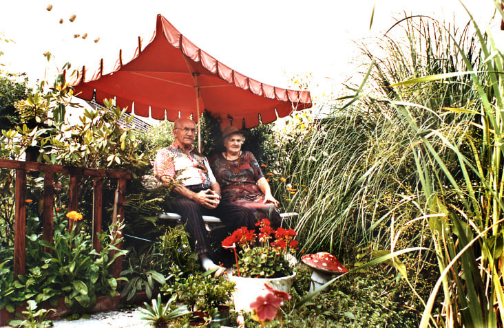 Schrebergarten 1
