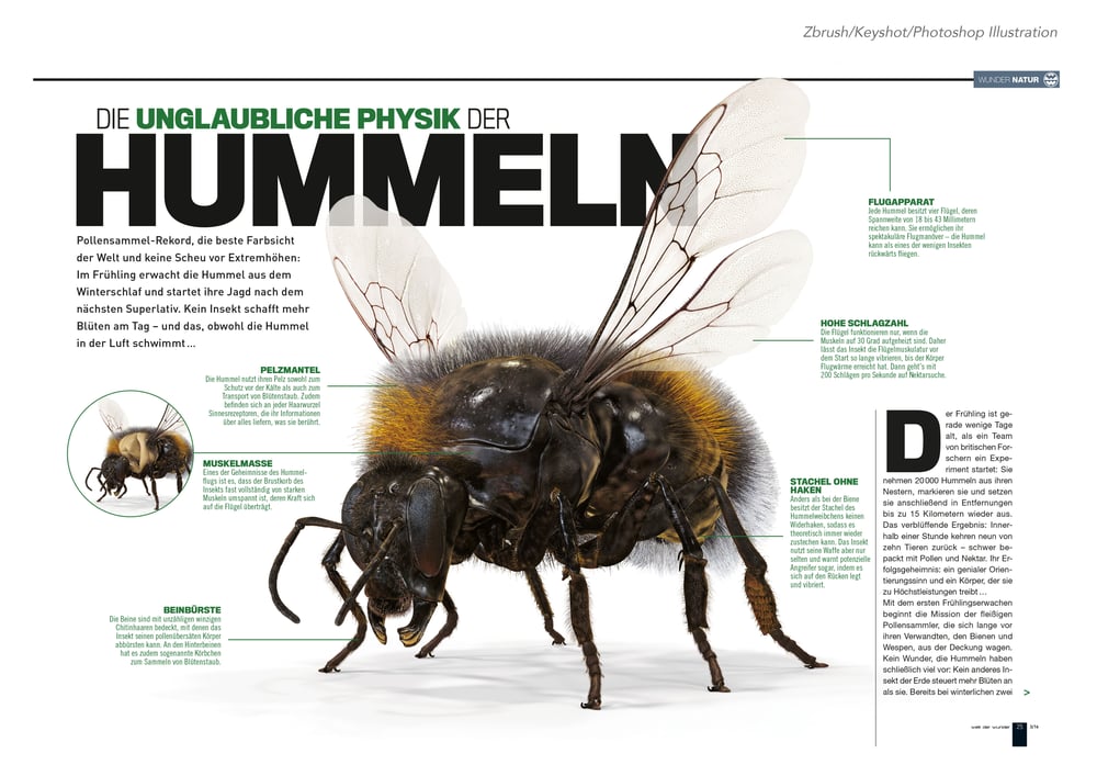 WDW Magazin /Artikel