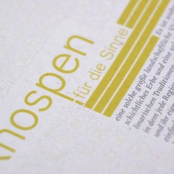 Typografie