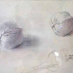 Studie Nüsse – Bleistift