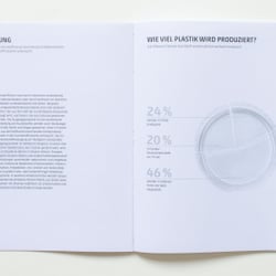 Diplomarbeit „Plastikwahn“