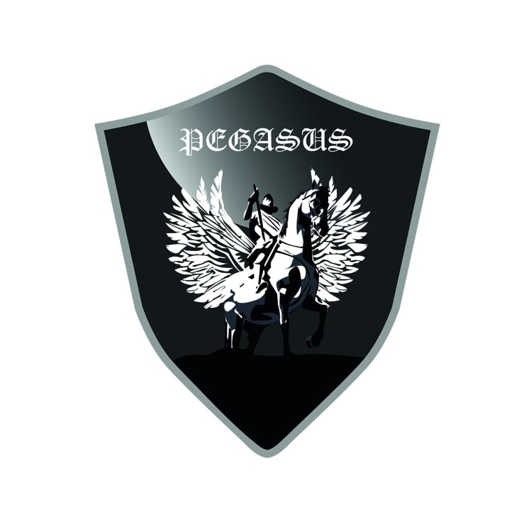pegasus