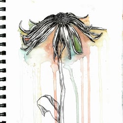 DAY 13