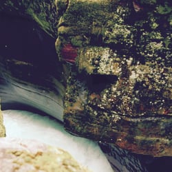 Face of The Rock