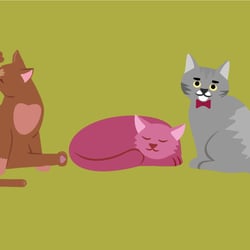 Katzen