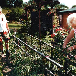 Schrebergarten 8