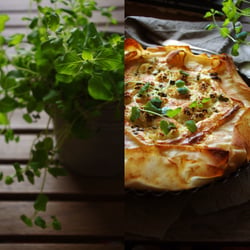KATSKYFUL food photography