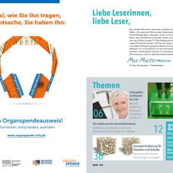Seiten aus DS1