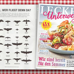 Heimische Vögel im Fluge
